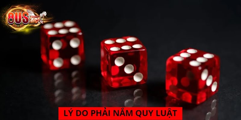 Lý do cược thủ cần phải tìm ra quy luật tài xỉu 